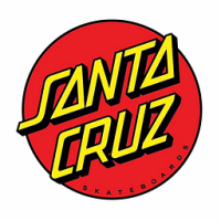 Santa Cruz Complete Skateboard