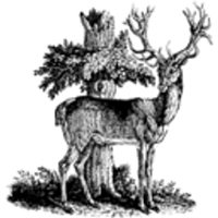 Stag's Leap Wine Cellars FAY 2019