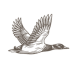 Duckhorn Vineyards Cabernet Sauvignon 2019