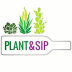 Plant & Sip