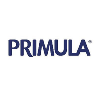 Primula Manor Electric Kettle