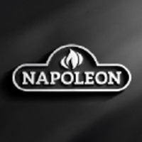 Napoleon Electric Fireplace