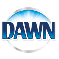 Dish Soap (Dawn)