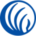 The National Alliance on Mental Illness (NAMI)