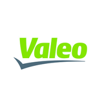 Valeo Foam Roller