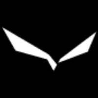 Salewa Mountain Trainer 2 Mid GTX