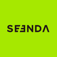 Seenda Wireless Mouse
