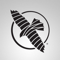 Hayabusa T3