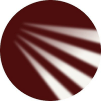 SelectBlinds Motorized