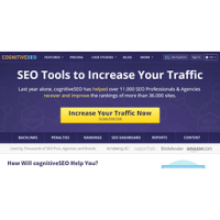 CognitiveSEO