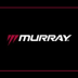 Murray 21-inch Gas Mower