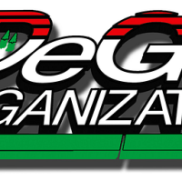 Weighted Jump Rope by DEGOL