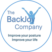 BackJoy Posture+ Seat