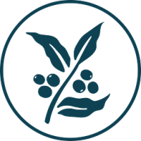 George Howell Coffee - Daterra Sweet Blue