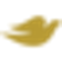 Dove Men+Care Antiperspirant