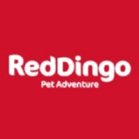 Red Dingo Padded Leash