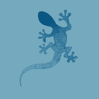 Blue Lizard Australian Sunscreen - Sensitive SPF 30+