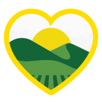 Nature Valley Protein Meal Replacement Shake