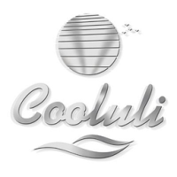 Cooluli 20L Electric Cooler