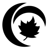 Maple Holistics Degrease Shampoo