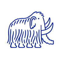 Harry's Body Wash - Cedar