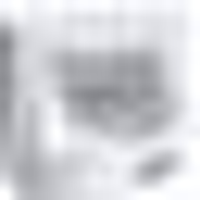 Cat Mate C3000 Automatic Pet Feeder