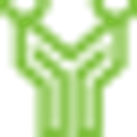 Yanagisawa SA-901 Student Alto Saxophone