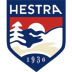 Hestra Army Leather Heli Ski Gloves