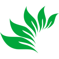 Purwell Vitamin C Serum