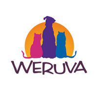 Weruva Cats Over Canvass Chicken & Salmon Stew