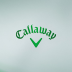 Callaway 2021 Rogue ST Max Driver