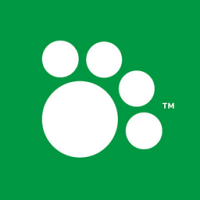 Iams Puppy Food Chicken & Rice