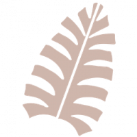 Maui Moisture Heal & Hydrate + Shea Butter Conditioner