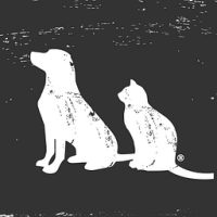 PureBites Freeze-Dried Liver Treats