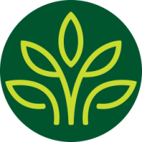 Traditional Medicinals Organic Mother Earth Black Tea