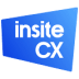 Insitecx AR Glasses
