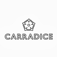 Carradice Camera Strap