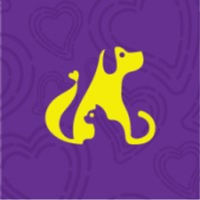 Hertzko Self-Cleaning Slicker Brush