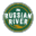 Pliny the Elder - Russian River Brewing Company