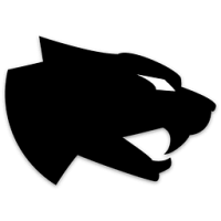 Arctic Cat Wildcat XX Limited