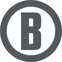 Bushnell Bullseye 450