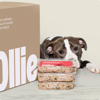 Ollie Puppy Recipe