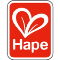 Hape Pound & Tap Wagon