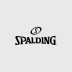 Spalding Legend Complete Set