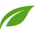 Thrive Architect