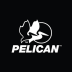 Pelican 1500 Case