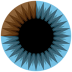 3Blue1Brown's Neural Networks Chapter