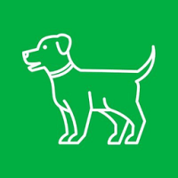 Pet Supplies Plus Brand Joint Health Chews