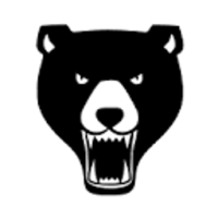 Grizzly G0771