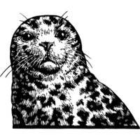 Smuttynose Coffee Stout